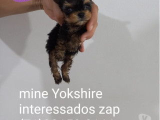 oportunidade-em-bahiasalvador-centro-conservado-em-bahiasalvador-centro-condicao-especial