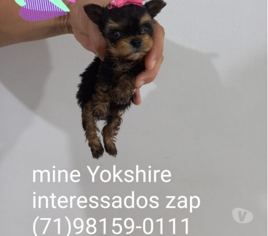 oportunidade-em-bahiasalvador-centro-conservado-em-bahiasalvador-centro-condicao-especial-big-0