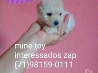 disponivel-bahiasalvador-centro-condicoes-especiais-em-bahiasalvador-centro-negociavel