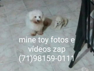 disponivel-bahiasalvador-centro-condicoes-especiais-em-bahiasalvador-centro