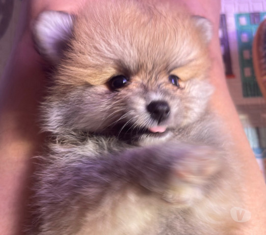 semi-novo-rio-de-otima-oportunidade-garantia-big-2