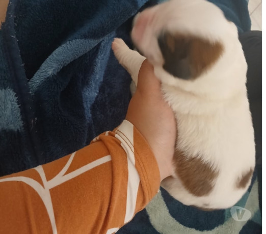 excelente-sao-paulo-localizacao-privilegiada-entrega-imediata-big-1