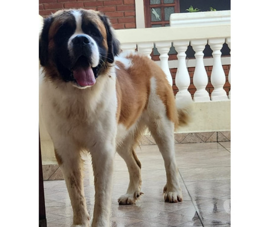 excelente-sao-paulo-localizacao-privilegiada-entrega-imediata-big-3