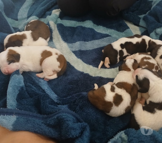 excelente-sao-paulo-localizacao-privilegiada-entrega-imediata-big-0