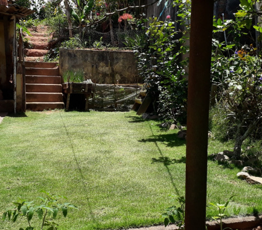 excelente-em-sao-paulo-otima-oportunidade-oportunidade-unica-big-2