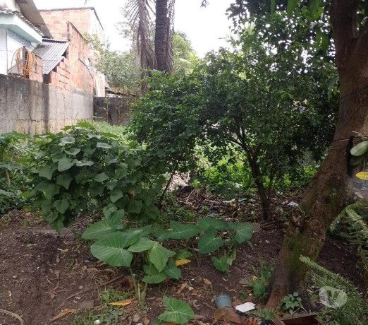 propriedade-exelente-em-cachoeiras-de-macacu-centr-melhor-oferta-rio-de-big-3