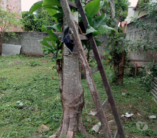 propriedade-exelente-em-cachoeiras-de-macacu-centr-melhor-oferta-rio-de-big-4