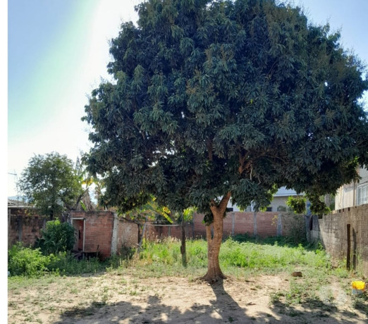 excelente-em-sao-paulo-otima-oportunidade-oportunidade-unica-big-3