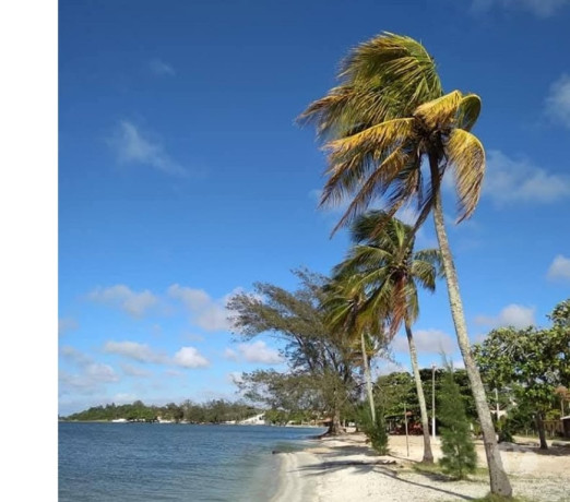 em-rio-de-conservado-r-14000000-r-14000000-big-0