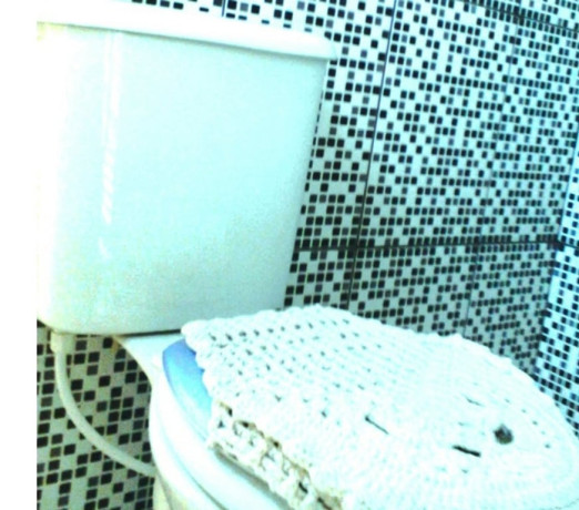 pedreiro-a-130-o-dia-sao-joao-de-meriti-rj-pinto-premium-em-rio-de-entrega-imediata-big-1