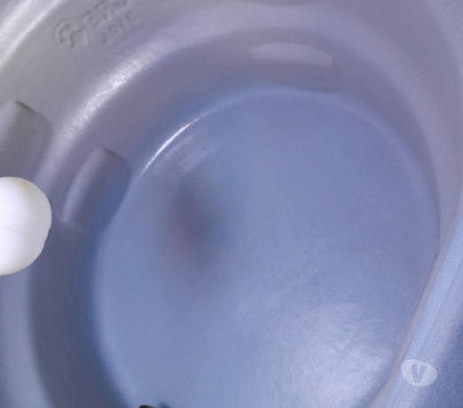 em-paranaaraucaria-for-em-paranaaraucaria-big-2