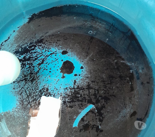 em-paranaaraucaria-for-em-paranaaraucaria-big-1