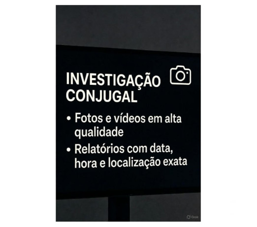 detetives-particulares-sc-detetive-ribeiro-lag-em-santa-catarinalages-entrega-rapida-e-garantia-de-satisfacao-em-santa-catarinalages-big-0