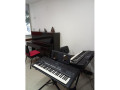 escola-de-musica-fatima-rodrigues-ipanema-rj-copac-rio-de-oportunidade-unica-garantia-small-1
