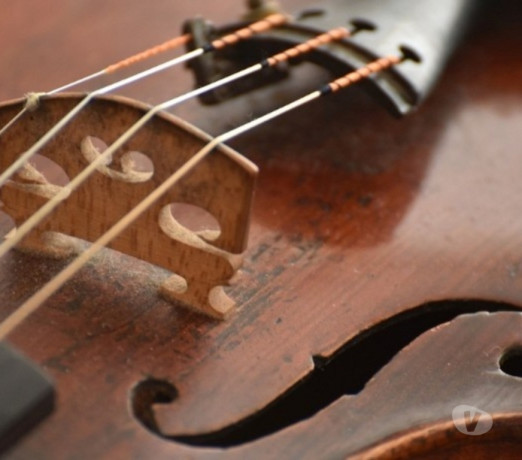 aula-de-violino-particular-em-campinas-sp-campin-em-sao-paulo-entrega-rapida-e-garantia-de-satisfacao-big-0