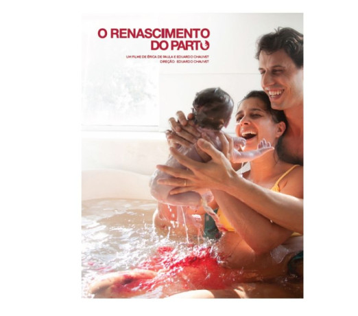 dvd-o-reanscimento-do-parto-1-2-3-jequie-ba-j-melhor-oferta-bahiajequie-em-bahiajequie-garantia-big-0