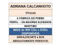 cds-adriana-calcanhoto-seminovos-niteroi-rj-jo-melhor-oferta-rio-de-r-11000-r-11000-garantia-small-3