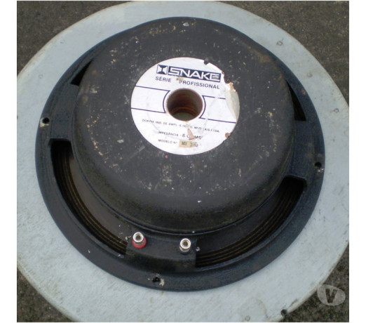 alto-falante-antigo-snake-mod-ms-120-cod-246-de-premium-em-rio-grande-big-1