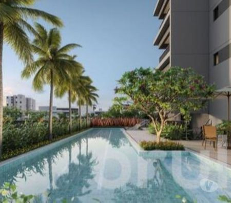 disponivel-sao-paulo-condicoes-especiais-r-73220600-r-73220600-condicao-especial-big-1