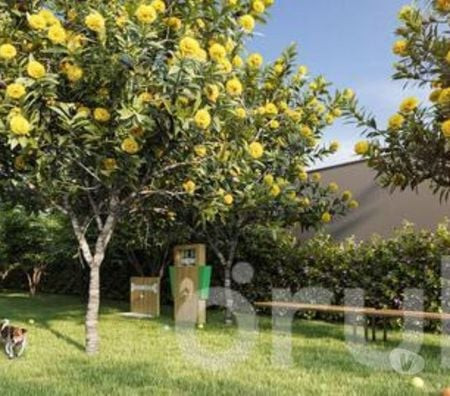 disponivel-sao-paulo-condicoes-especiais-r-73220600-r-73220600-condicao-especial-big-3