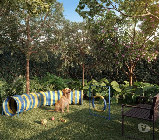 disponivel-sao-paulo-condicoes-especiais-big-2