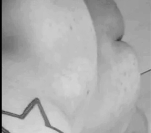 afim-de-sexo-quero-ativo-caxias-do-sul-rs-orgias-premium-em-rio-grande-big-3