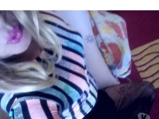 adoruuuuu-sou-bezerrinha-sem-fins-lucrativos-sa-melhor-oferta-santa-catarinasao-em-santa-catarinasao