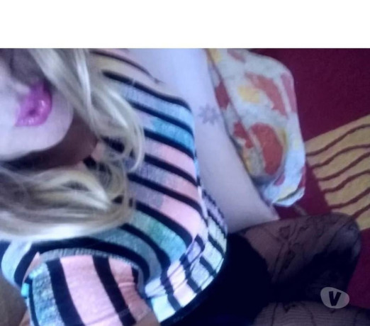 adoruuuuu-sou-bezerrinha-sem-fins-lucrativos-sa-melhor-oferta-santa-catarinasao-em-santa-catarinasao-big-0