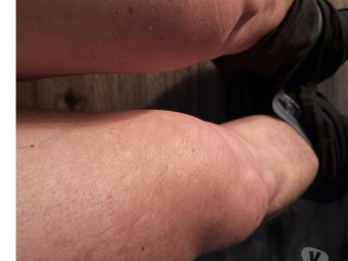 apenas-gordinhos-ou-parrudos-florianopolis-outros-santa-catarinaflorianopolis-oportunidade-unica-em-santa-catarinaflorianopolis-oportunidade-unica