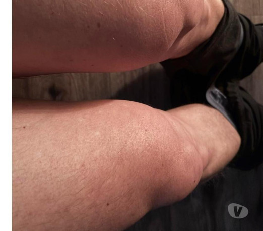 apenas-gordinhos-ou-parrudos-florianopolis-outros-santa-catarinaflorianopolis-oportunidade-unica-em-santa-catarinaflorianopolis-oportunidade-unica-big-0