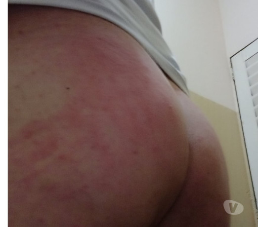 acompanhantes-serrana-sp-em-sao-paulo-entrega-rapida-e-garantia-de-satisfacao-big-2